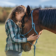 Latest cost of living survey 'worrying' for horse owners
