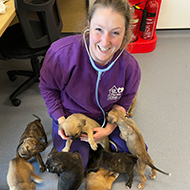 New head vet appointed at Birmingham Dogs Home