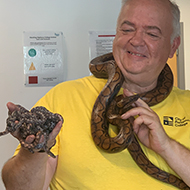 College shocked at rare asexual snake birth