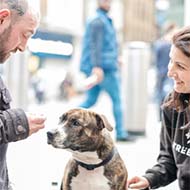 StreetVet wins homelessness sector award 