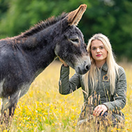 RSPCA calls for action on online animal cruelty