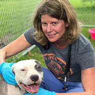 WSAVA appoints chair of new standards steering committee
