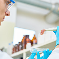 Lab-grown pet food authorised to be sold in UK