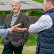 Bovine TB board established in Wales