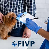 FIVP publishes response to CMA issues statement