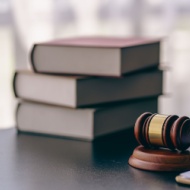 BVA pushes for holistic approach to RCVS governance reform