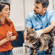 Vet groups warn CMA remedies could cause welfare issues