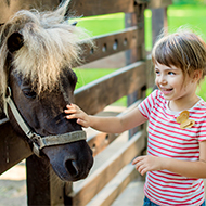 World Horse Welfare introduces new children's club