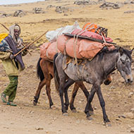 Brooke to build three new vet clinics in Ethiopia