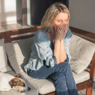 MPs attend event on domestic abuse involving pets
