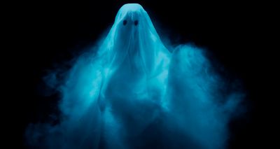 Many owners think their pet has seen a ghost, survey finds