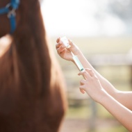 Zoetis apologises for EVA vaccine shortage