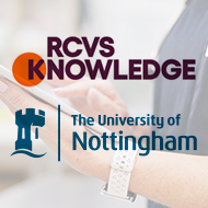 Veterinary organisations collaborate to develop QI model