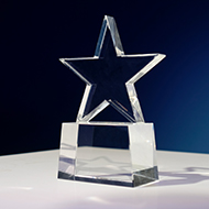 Nominations open for 2025 WSAVA Awards