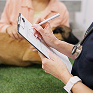 RCVS publishes response to CMA working papers