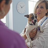 Vet groups scrutinise CMA working papers