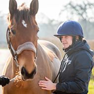 BEVA award to celebrate early-career vets
