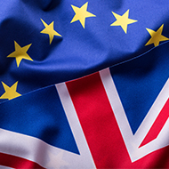 Vet industry responds to UK-EU summit commitments