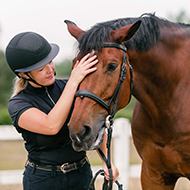New fat-scoring resources for horse owners