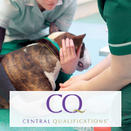 CQ awarded accreditation for Level 3 Vet Nurse qualifications