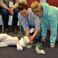 Programme revealed for BVNA Congress 2025