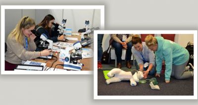 Programme revealed for BVNA Congress 2025