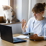 Telehealth beneficial for feline arthritis, study finds