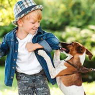 Educational sessions to keep children safe around pets