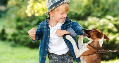 Educational sessions to keep children safe around pets
