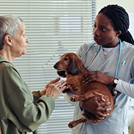 Vet sector still facing racism, study finds