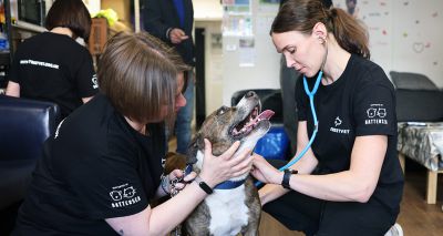 New charity alliance to help homeless pet owners