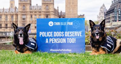 Charity calls for police dogs to receive 'pension'