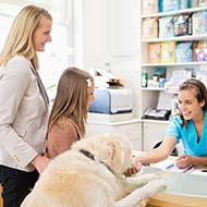 RCVS calls for more powers after CMA remedies