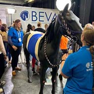 BEVA Congress to celebrate vet nurses with VN stream