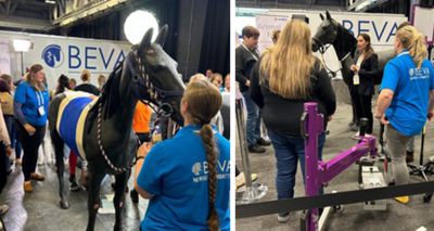 BEVA Congress to celebrate vet nurses with VN stream