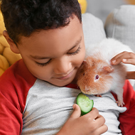 Children in Scotland join 'groundbreaking' animal welfare scheme
