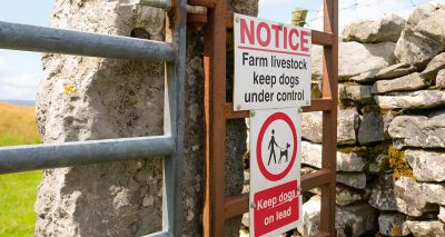 Blue Cross celebrated for livestock attack prevention