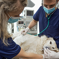 Device could 'capture' exhaled anaesthetic from surgeries
