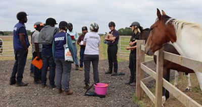 Equine charities share compassionate handling framework