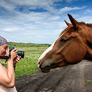National Equine Forum searches for 2026 cover star