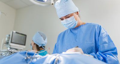 RCVS issues update to accreditation process