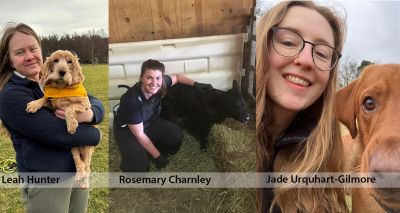 BVA Young Vet of the Year 2025 finalists announced