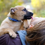 One in three families face unexpected puppy care challenges