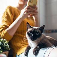Cat survey challenges 'older cat lady' stereotype
