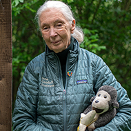Tributes paid to conservationist Jane Goodall