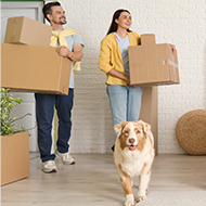 New law gives private renters right to keep pets