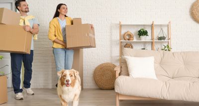 New law gives private renters right to keep pets