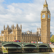 Government urged to act on animal welfare pledges