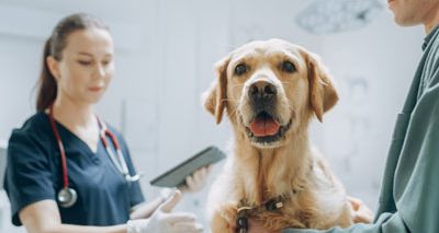 RUMA launches 2025 Animal Medicines Amnesty
