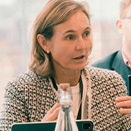 RCVS questions CMA governance comments